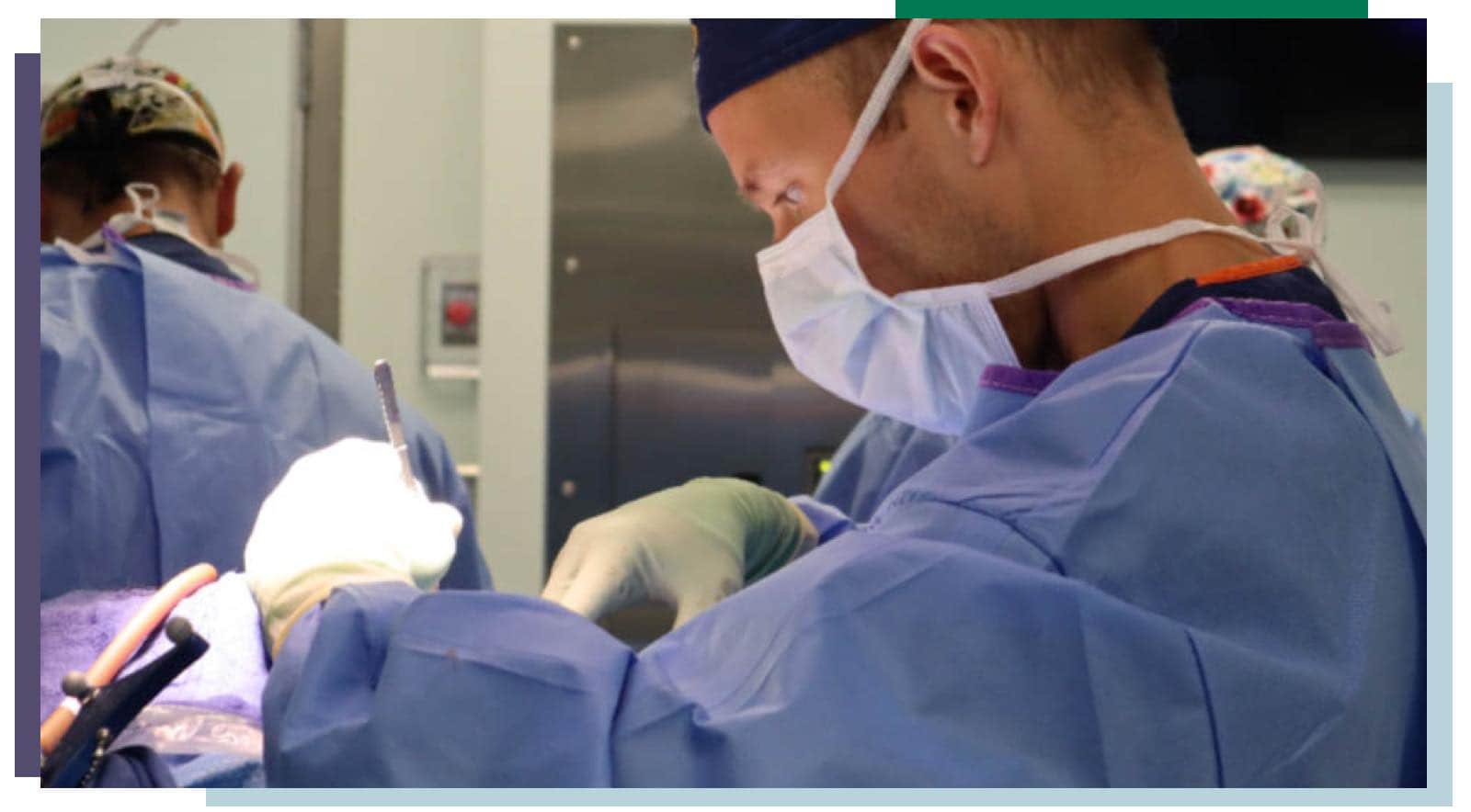 cc_report_pioneering_img