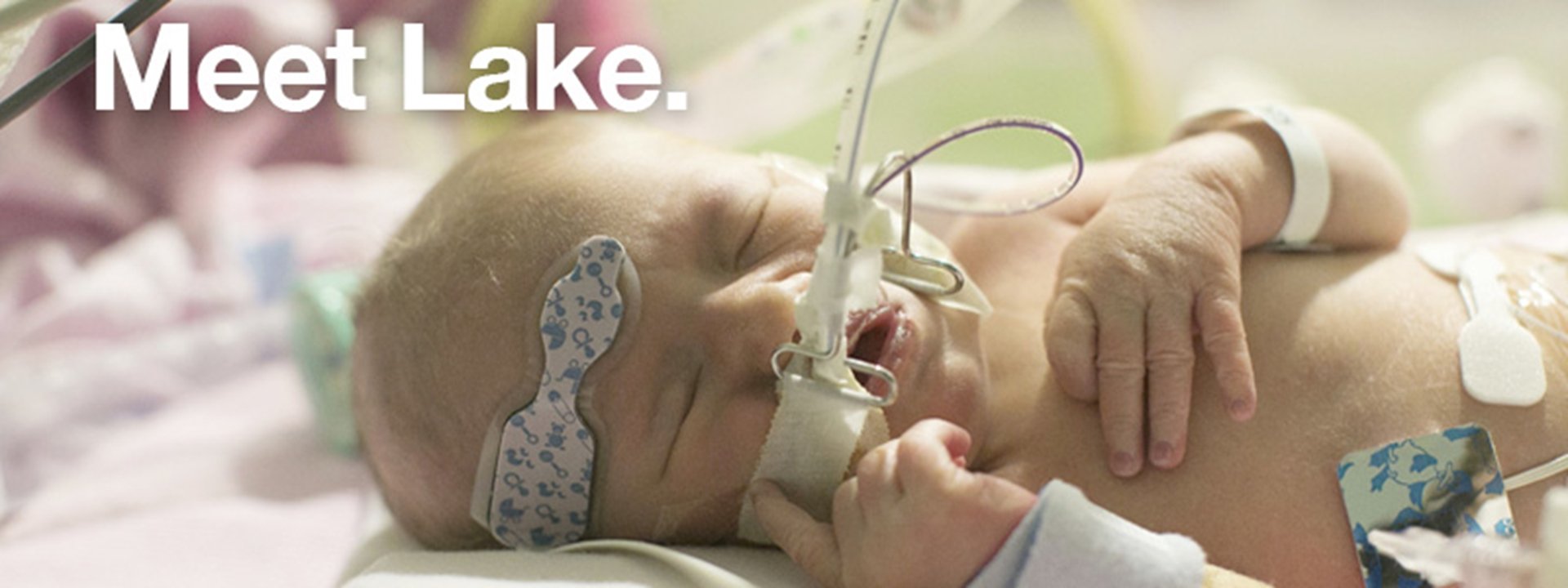 photo-annualgenerosity-main