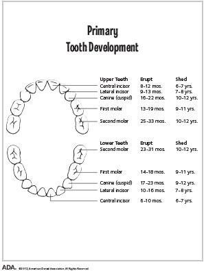 learn-adacountandcolor_eng2