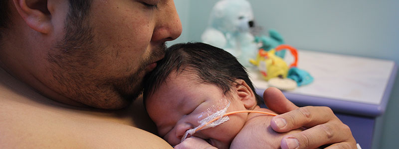 Dad's can kangaroo too dad-kangaroo-care